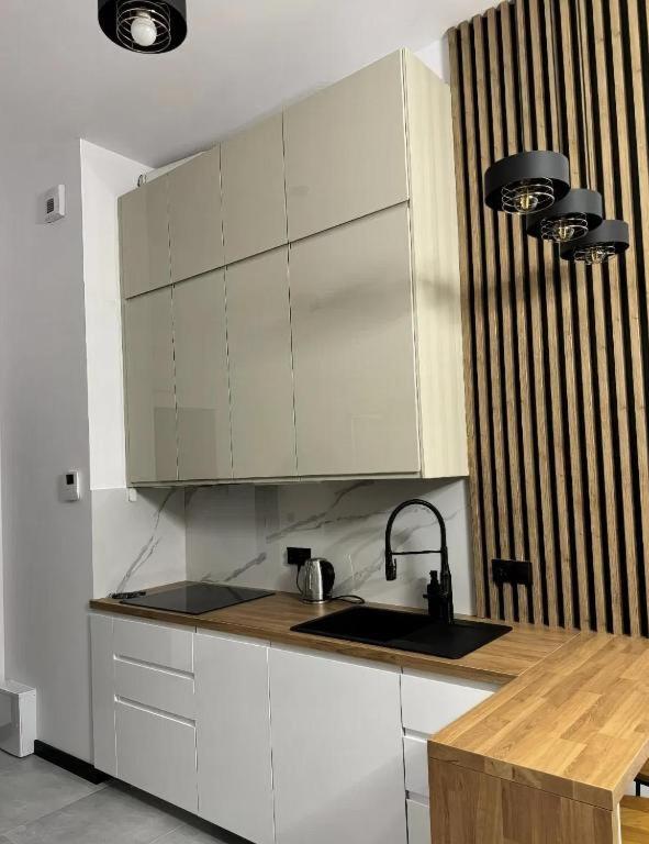 Rentpoland Wiktoryn Studio Apartment Varşovia Exterior foto